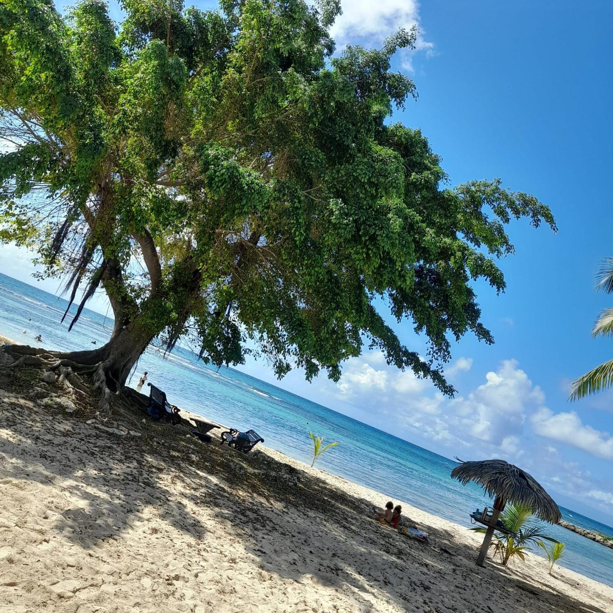 Bumbu 626 Anse Des Rochers Appartement *