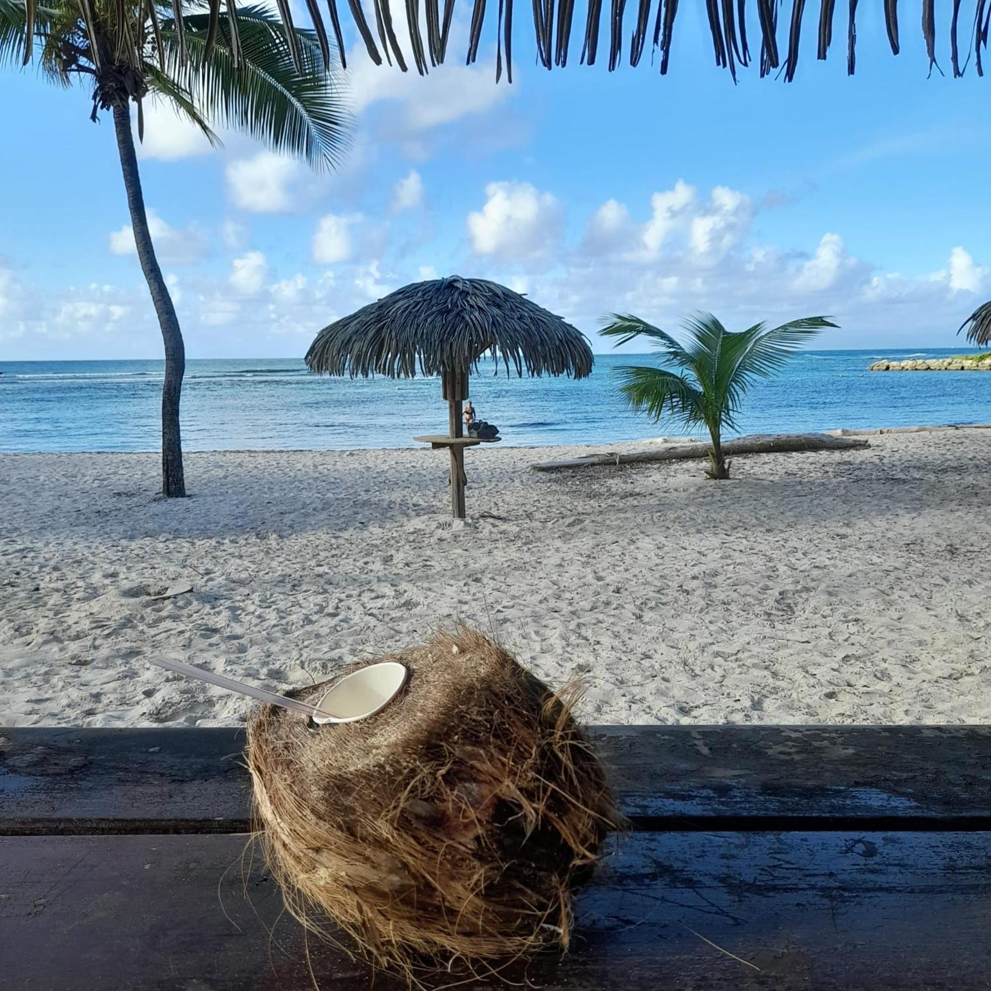 Bumbu 626 Anse Des Rochers *
